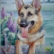 German Shepherd And Lilac.