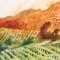 VINEYARD II