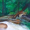 Dunns River
