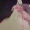 close up "amarylis"