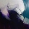 close up "iris "
