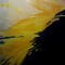 close up "iris "