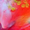 hibiscus close up