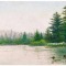 Ducks on the lake