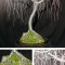 GENTLE WILLOW - Wire Tree Sculpture