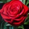 Oil painting