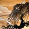 Willow Winds