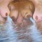 BATHERS
