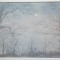 Trees moonlight