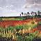 Fall - Palm Island Marsh
