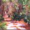 Woodland Path