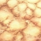 Cellular Landscape