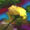 "Flor Amarilla" (Yellow Flower)