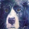 I Believe In Dog