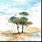 Trees