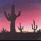 Sunset in Arizona