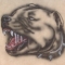 beware of dog 8