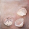 Shells