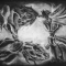 Pods In The Abyss