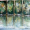 forest pond
