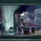 Orpheus descended