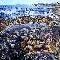 Cretan rockpool