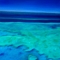 Blue reef
