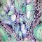 Cellscape with Ebola
