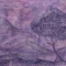 Ancestor Hill