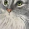 Bella Kitty