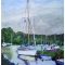 Boats on the Norfolk Broads