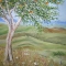 tuscan orange tree