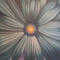 Blue Flower
