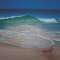 Ocean View