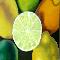 THE HALF LEMON