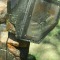 The Oval Gauntlet (window detail)
