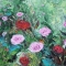 Rose Bushes