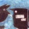 magpies