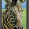 Zebra in Pastel