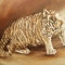 Clumsy Cub
