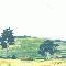 Landscape of the Pampas