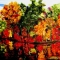 Autumn in Blue Mountain Reserve