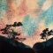 Point Lobos borealis