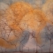 Abstract 1
