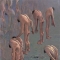 Abu Ghraib
