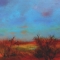 Dartmoor 1