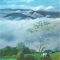 Morning Hillmist