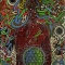 Transformation and The Flower of Life