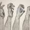 illustration for wild beasts video
