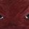 Hog Eyes